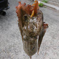 久しぶりの遠征！