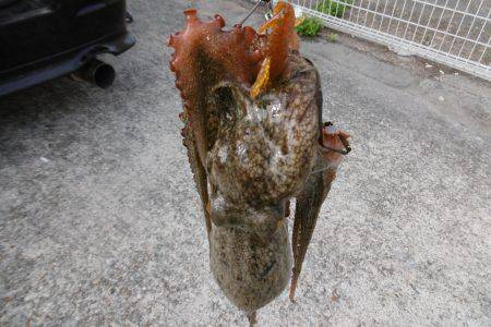 久しぶりの遠征！