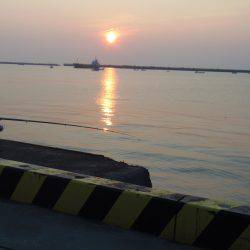 小サババカ釣り