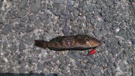 食品コンビナートでの釣り