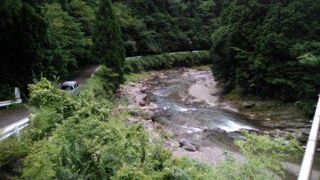 台風後の上桂川花背地区の鮎