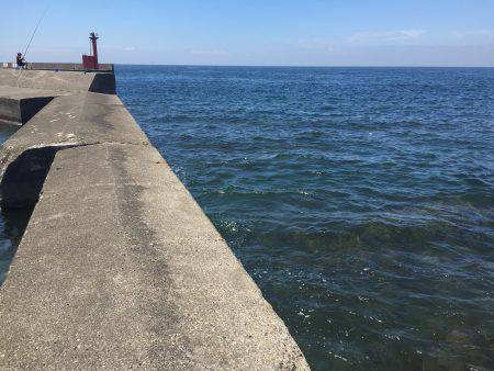 トウゴロウイワシ