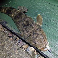 色々回ったけど反応薄かった～・・・