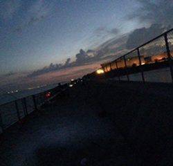 やっぱりサバばっかり。