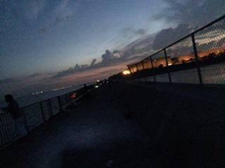 やっぱりサバばっかり。