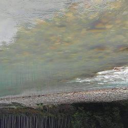 濁った古座川で鮎数尾・・・