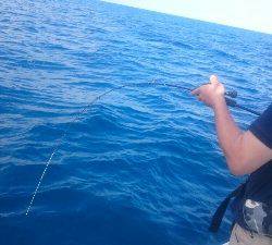 IDATEN（イダテン） 釣果