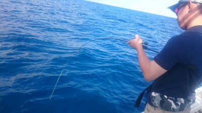 IDATEN（イダテン） 釣果