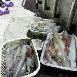 ジギング船 BLUEWATER 釣果