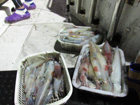 ジギング船 BLUEWATER 釣果