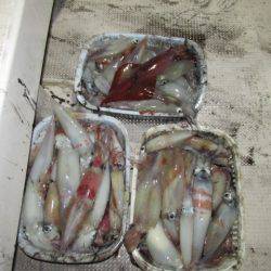 ジギング船 BLUEWATER 釣果