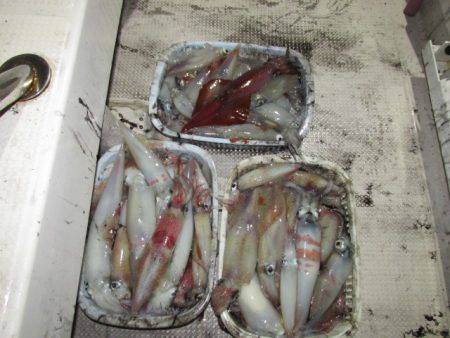 ジギング船 BLUEWATER 釣果