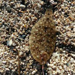 この時期にキス狙い