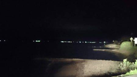 ひさびさアオリイカ