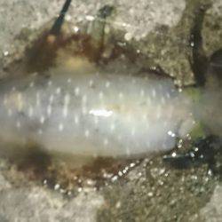 暑いけど久しぶりに行って来ました。