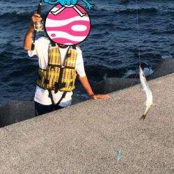 カマシング＆ケンサキング