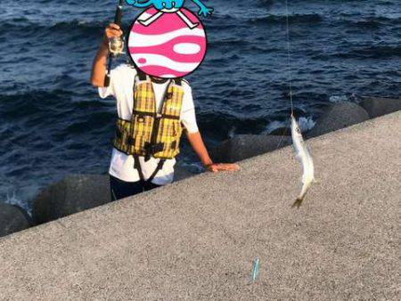 カマシング＆ケンサキング