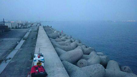 青物狙いだったが結局タコ釣りに