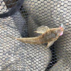 久々の谷川漁港