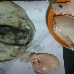 朝からまったりと