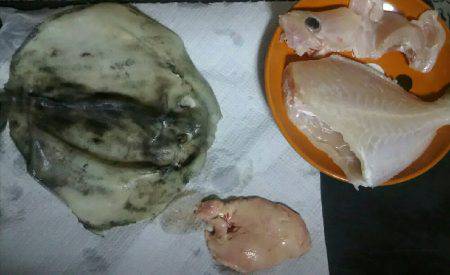 朝からまったりと