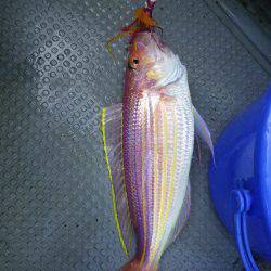 オールナイト釣行