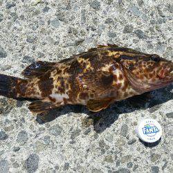 ボーッとしてたらいきなり