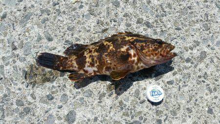 ボーッとしてたらいきなり