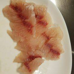 初のイサキ釣り♪