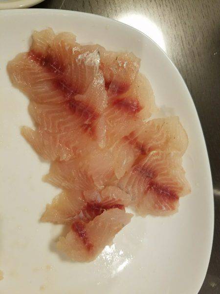 初のイサキ釣り♪