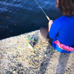 サビキ、マルキューあとは釣るだけを試す