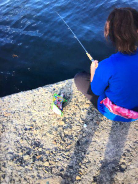 サビキ、マルキューあとは釣るだけを試す