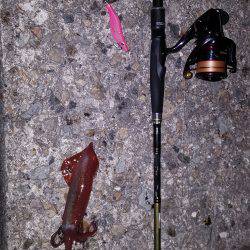 やったりましたわ〰‼