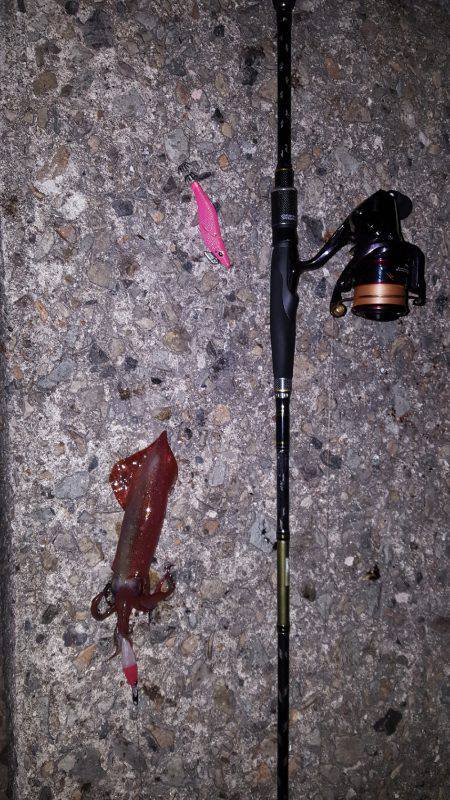 やったりましたわ〰‼