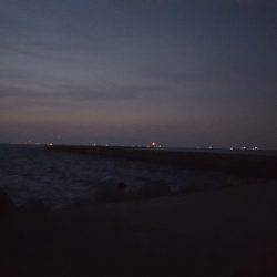 初オクトパッシング(笑)