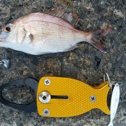 荒れてる中での釣果！