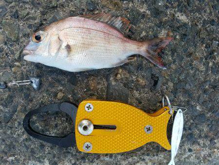 荒れてる中での釣果！