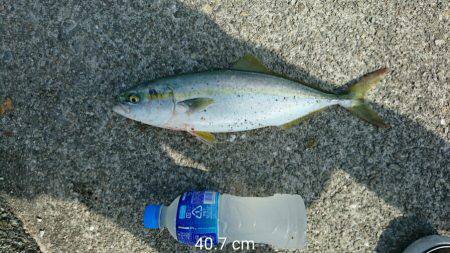 スランプ脱出？