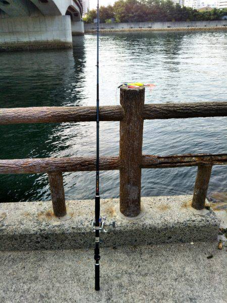 タコ大きくなってきてます。