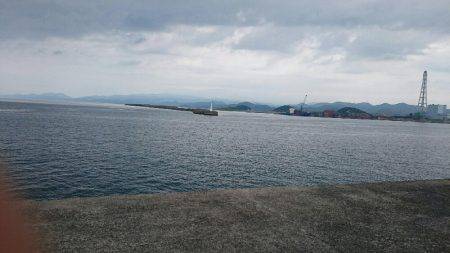 鹿児島釣行 最終日‼