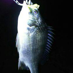 2時間ほどの楽しみ