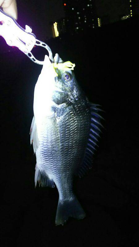 2時間ほどの楽しみ