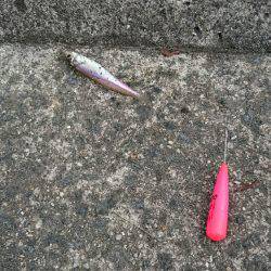 オールリリース(~_~;)