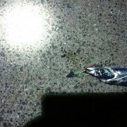 リベンジ！刀狩り