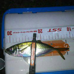 やった入れたポイントで