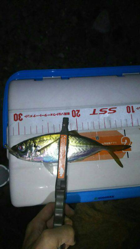 やった入れたポイントで