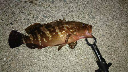 30オーバーアコウ ！