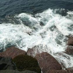 城ヶ崎いがいが根でスロージグ