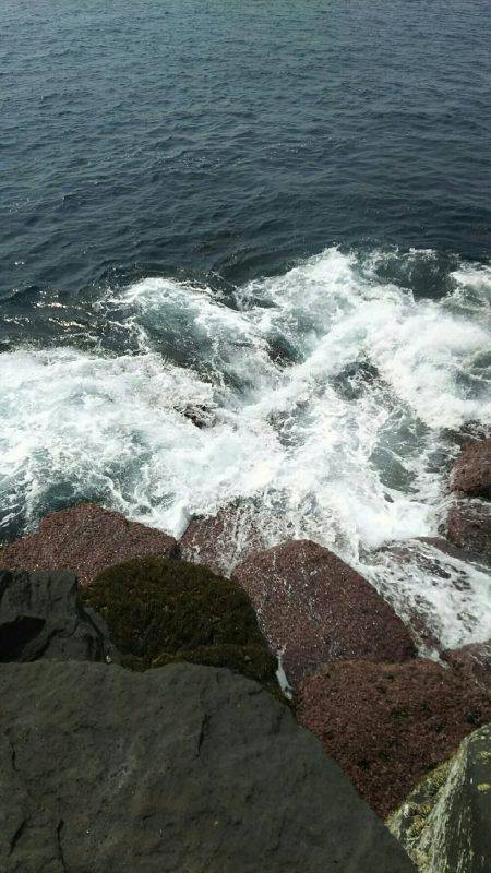 城ヶ崎いがいが根でスロージグ