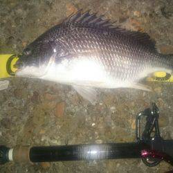 シーバスリベンジ2夜連続♪